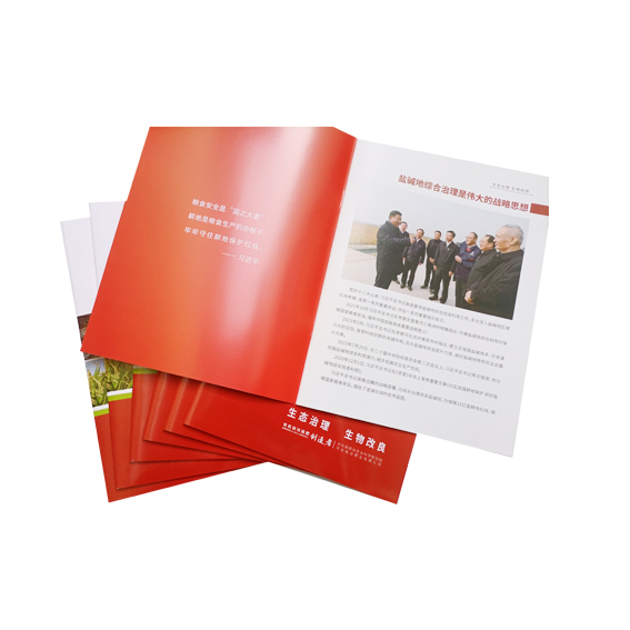 企業(yè)畫(huà)冊(cè)